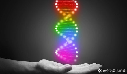 一项大型研究的结果：与同性恋有关的基因可能有很多，性倾向不是“连续的一个量表”