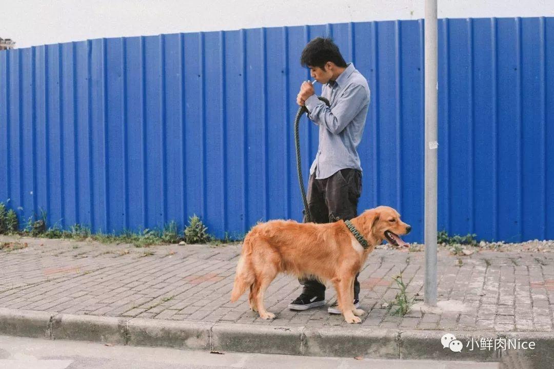 一个男人与一只狗的生活~