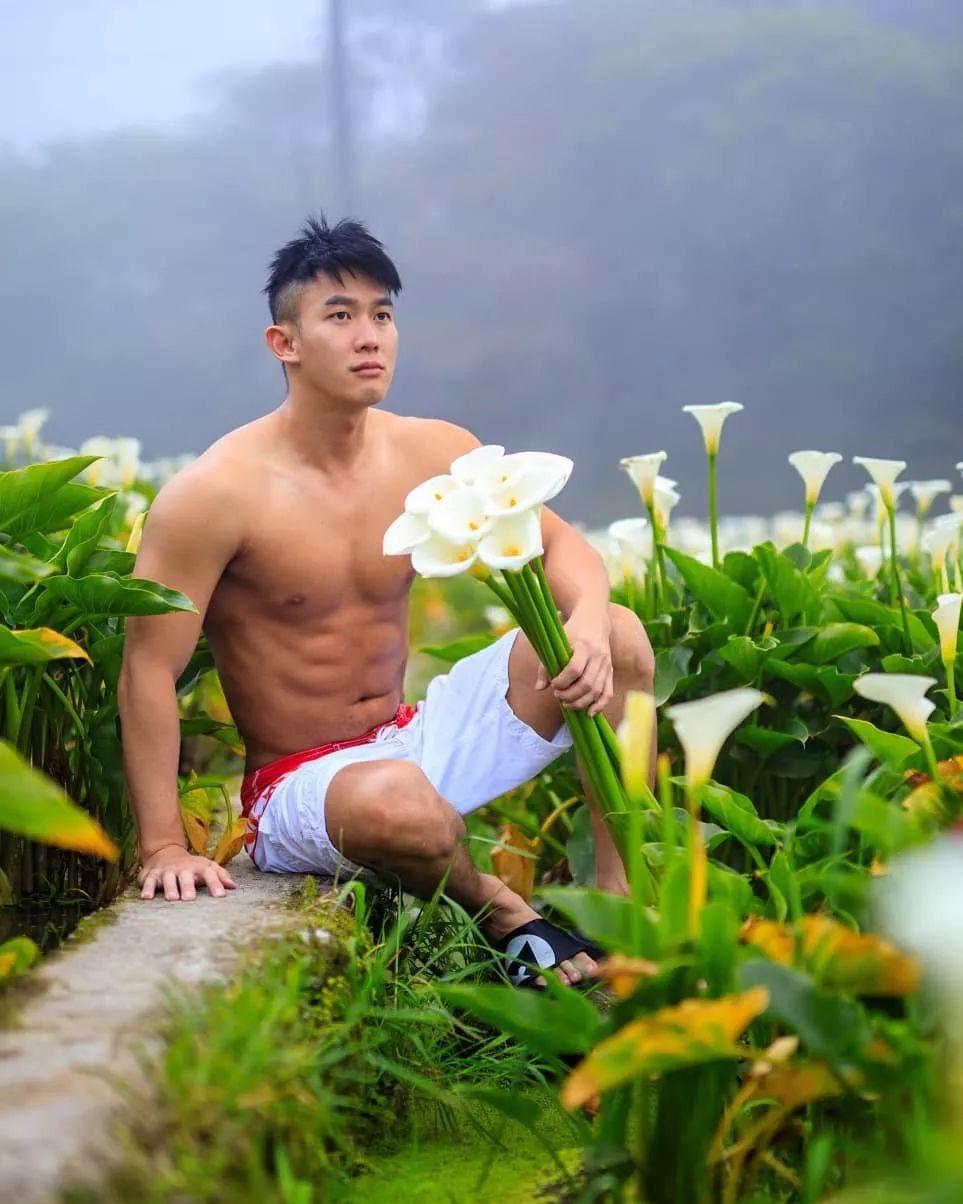 海芋花丛里的肌肉少年。